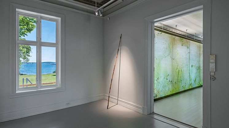 Charlotta Östlund Hiking Pole, 2018