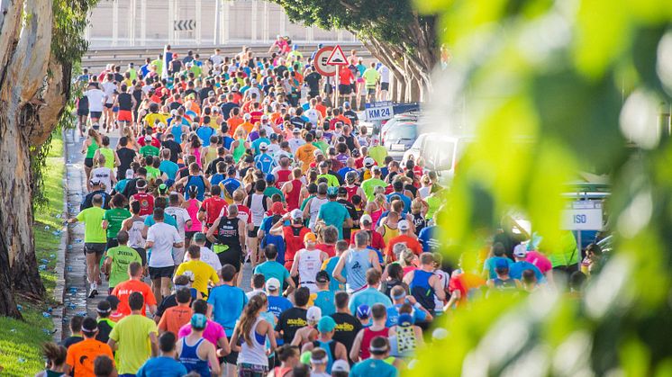 TUI Palma Marathon Mallorca_3.jpeg