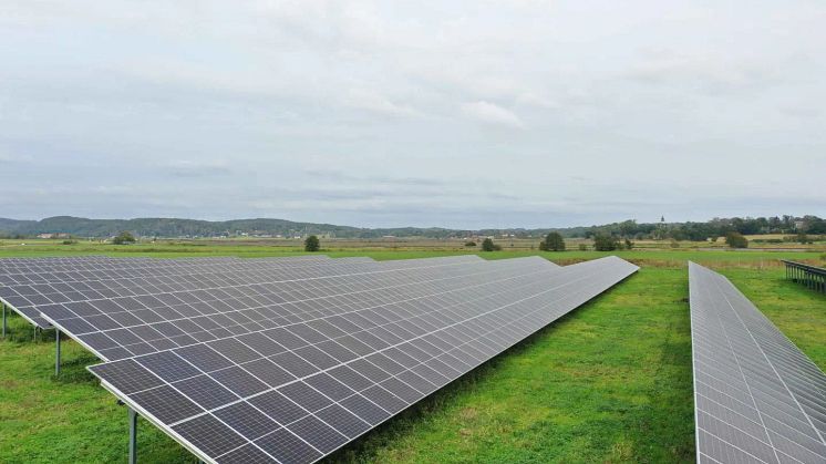 Solkompaniet och Niam samarbetar i miljardsatsning på solparker