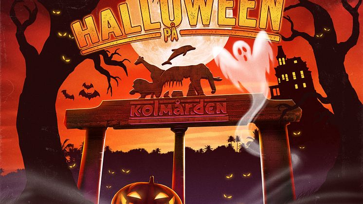 Evenemangstips - Halloween på Kolmården
