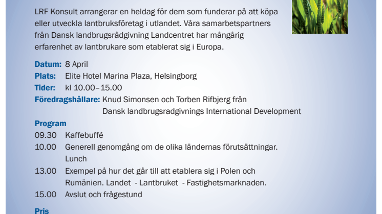Intreserad av att investera i utlandet