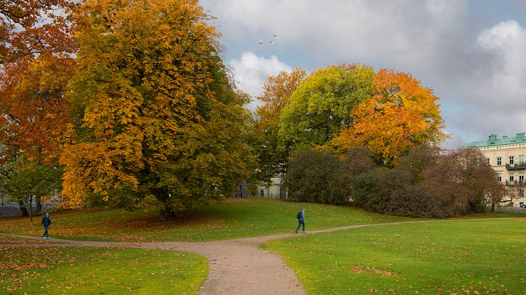 Vasaparken i Göteborg till salu för 5 000 kronor