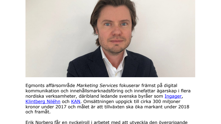 Egmont rekryterar ny chef till snabbväxande affärsområde