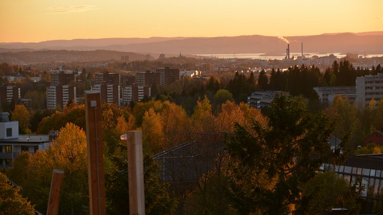 Høst - Stovnertårnet. Foto: Finn Skogstad