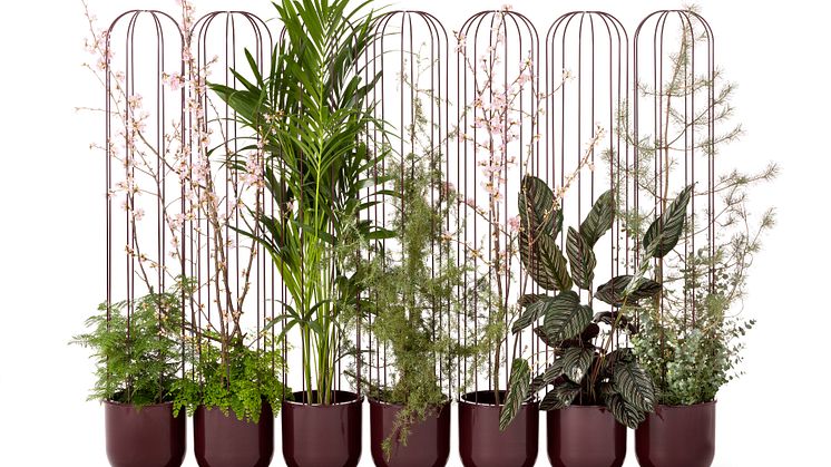 Cacti planter, design Anki Gneib