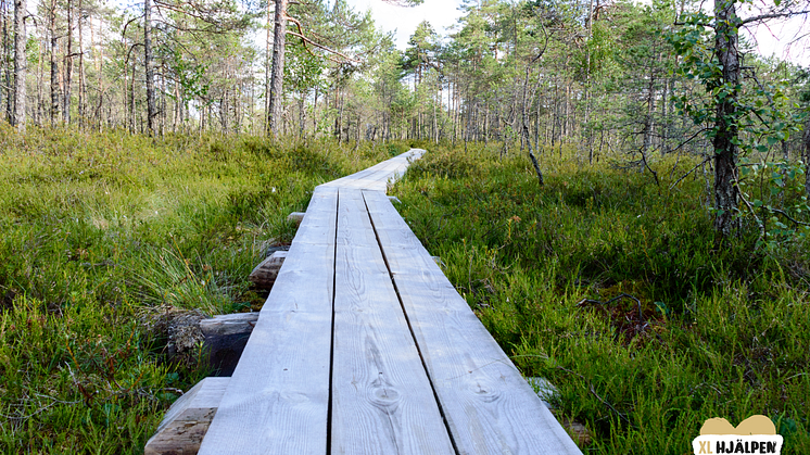 natur