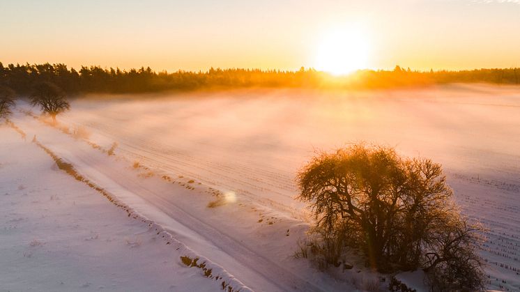 Törnbotten