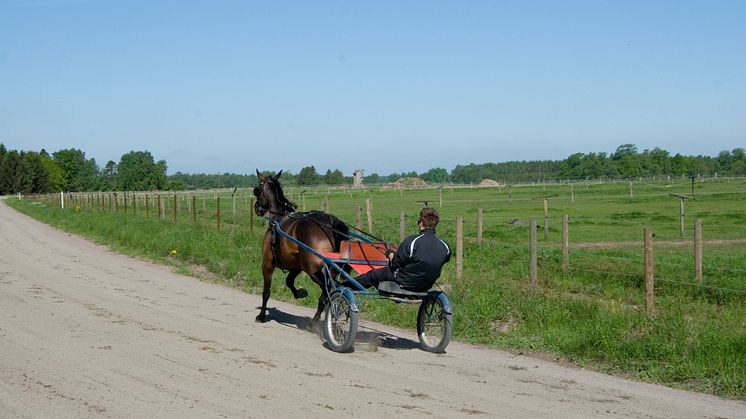 Travare