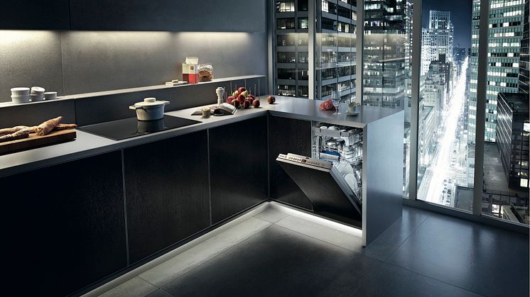 Siemens speedMatic 45 miljø