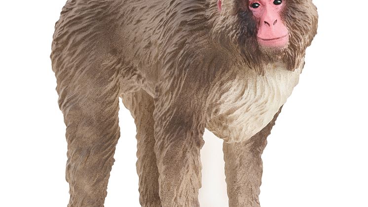 14871_Wild Life_Japanese Macaque (c)Schleich