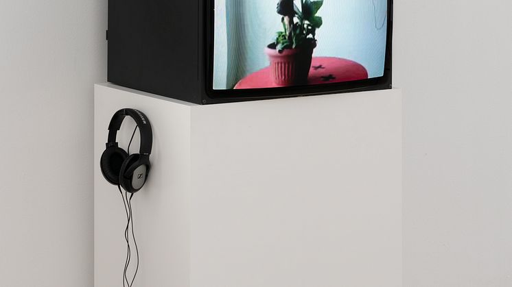 Mohamed Bourouissa_Charlottenborg_017_Photo by David Stjernholm