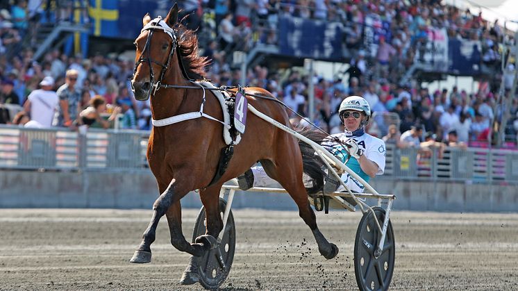 Double Exposure inför Lady Snärts lopp - Stoeliten 2018. Foto: Matilda Öhrman/TR bild