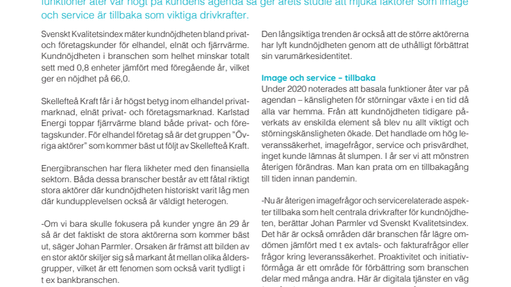 SKI Energi 2021.pdf