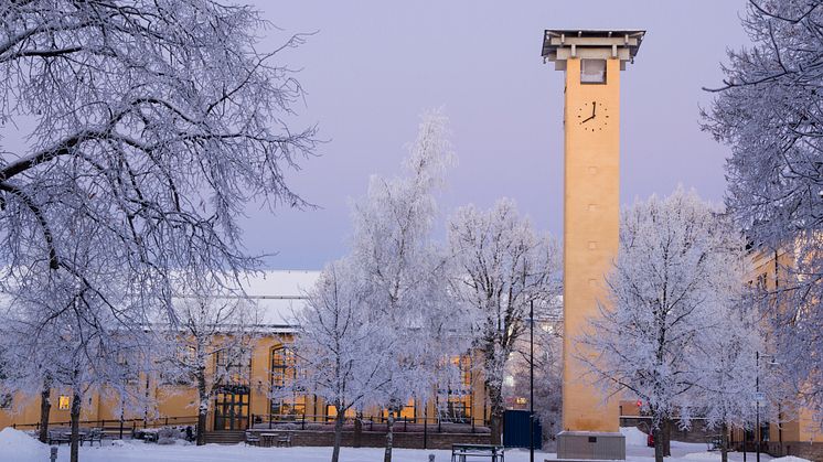 Ett snöigt campus på Högskolan i Skövde