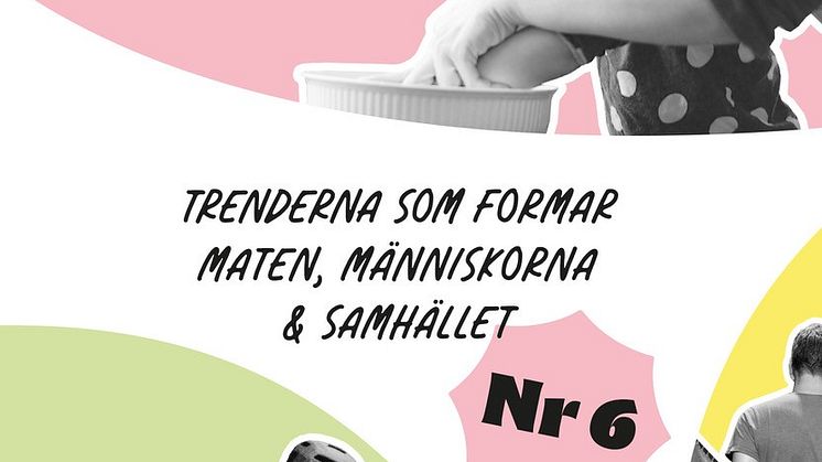 Ridderheimsrapporten_omslag
