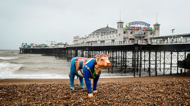 The 'roving reporter' took a trip on a Thameslink train to Brighton - MORE IMAGES AVAILABLE BELOW