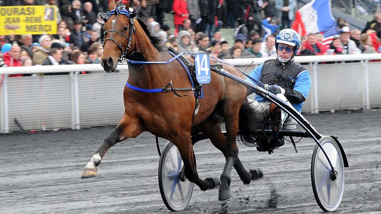 Timoko (Frankrike)