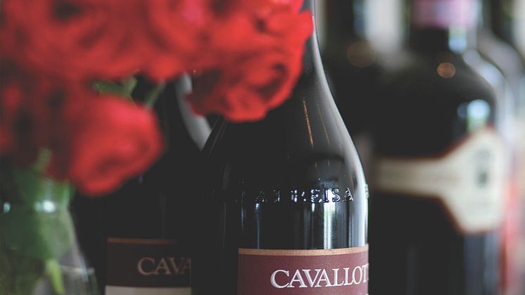 Möt italienska vinproducenter i Skåne 