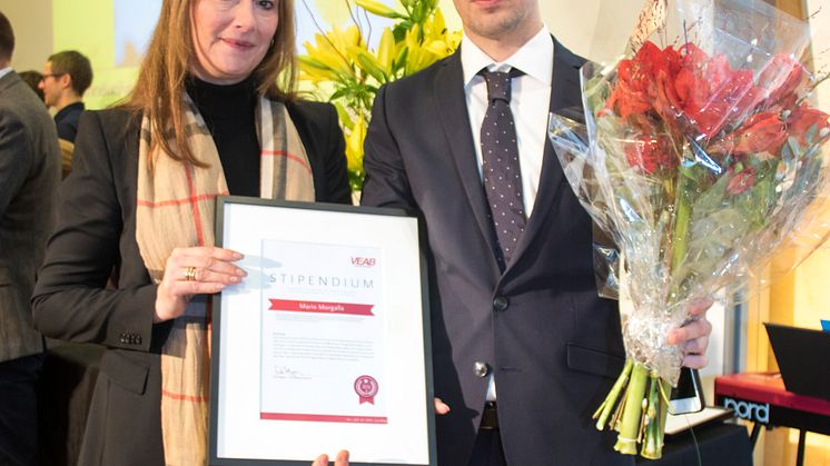 Bioenergistipendium till doktorand vid Linnéuniversitetet