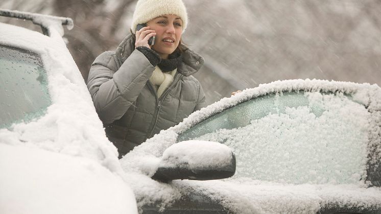 Drive safe this winter – use FLOWER power