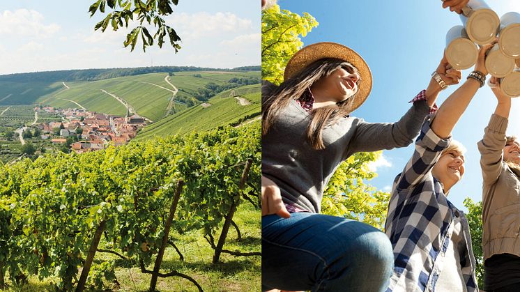 Frestelser från ​öl- och vinregionen Franken