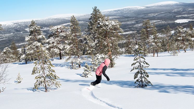  Stöten i Sälen har 21 liftar och 47 nedfarter. Mormors störtlopp är Dalarnas- och Sälens längsta nedfart med 3 060 meter åkglädje.