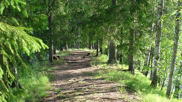 Naturpromenad och föredrag om naturens betydelse för hälsan på Karlberg 27 oktober. Foto: Stina Eriksson