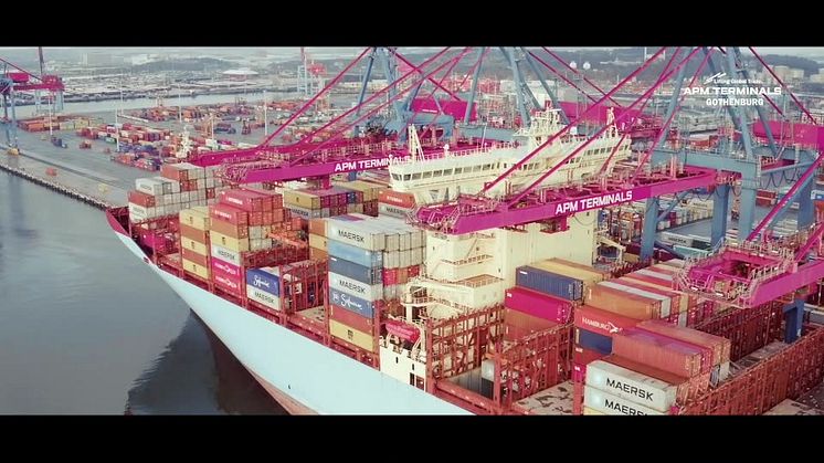 APM Terminals Gothenburg - Terminal Capacity