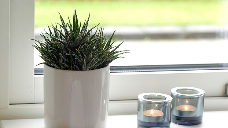 Habo_Windowsill