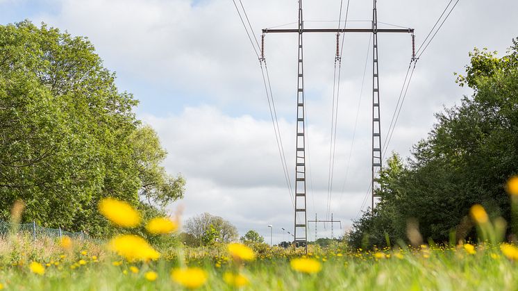 Svebios synpunkter på regeringens proposition om nya energipolitiska mål