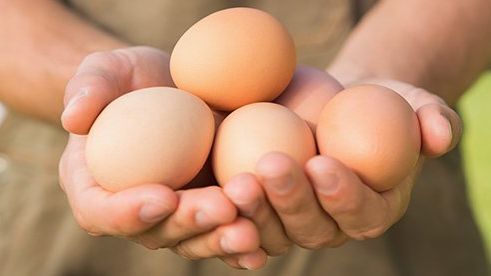 Nestlé udfaser buræg i hele verden