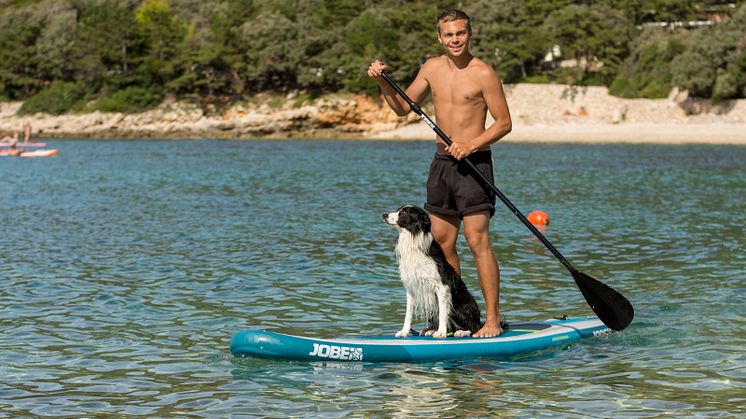 Maxi Zoo été chien 1