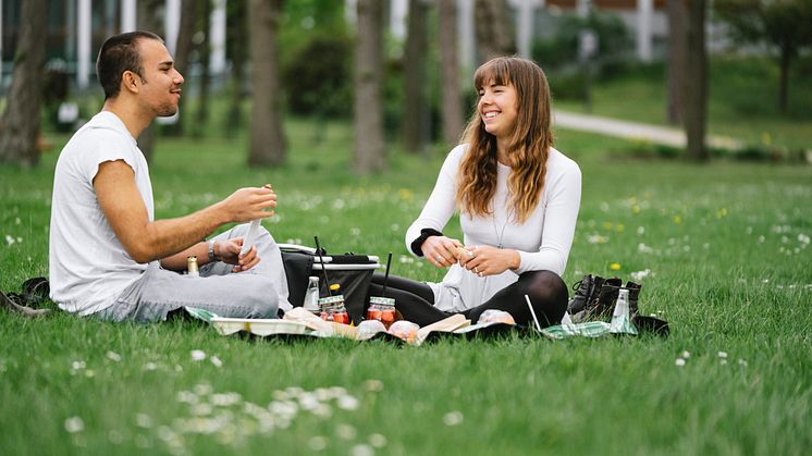 Picknick wird im Seenland Oder-Spree groß geschrieben. Foto: TMB-Fotoarchiv/Steffen Lehmann. 