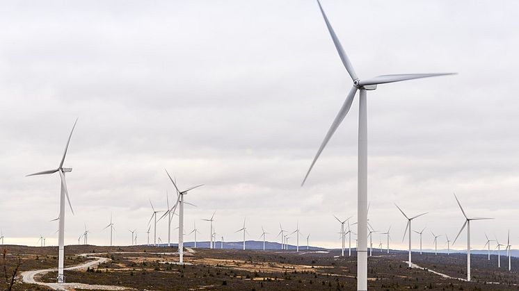 Innovationsprogram för förnybar energi i Skellefteå