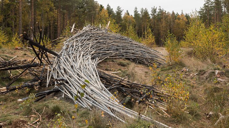 Ängelholms kommun bjuder in till konstvisning i Kronoskogen