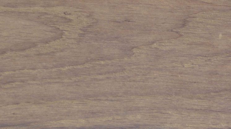 Timberex Active Stain  Driftwood Grey