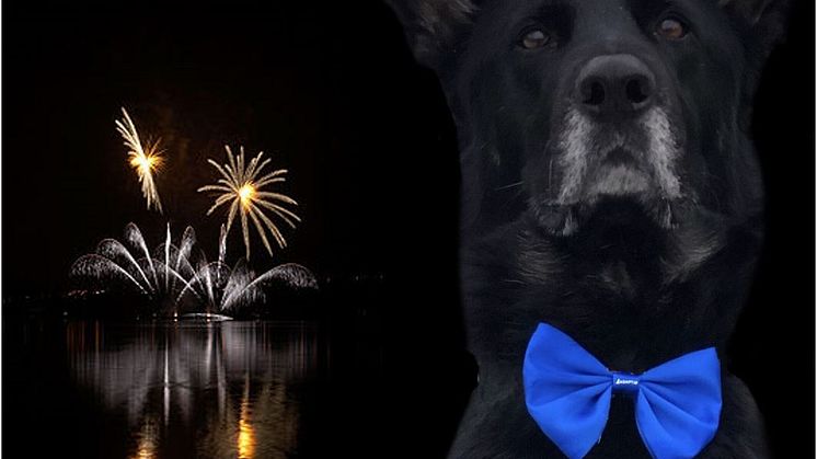 Gott nytt år önskar Väsby Djursjukhus