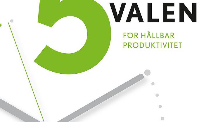 Omslag De 5 valen för hållbar produktivitet