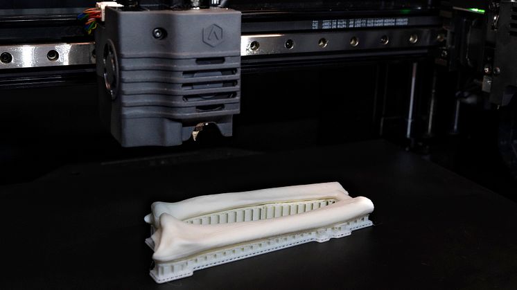 3D-printade skelettdelar.jpeg