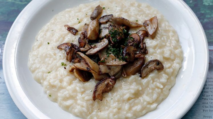 Tessiner Risotto 