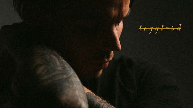 Omslag - Albin Johnsén "Taggtråd"