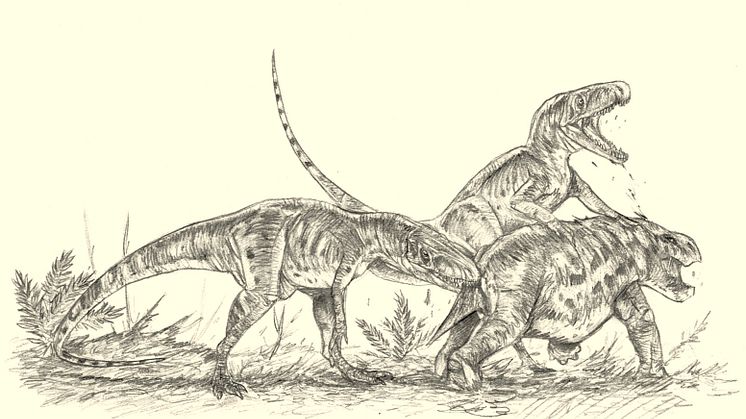 Two Smok and one young dicynodont