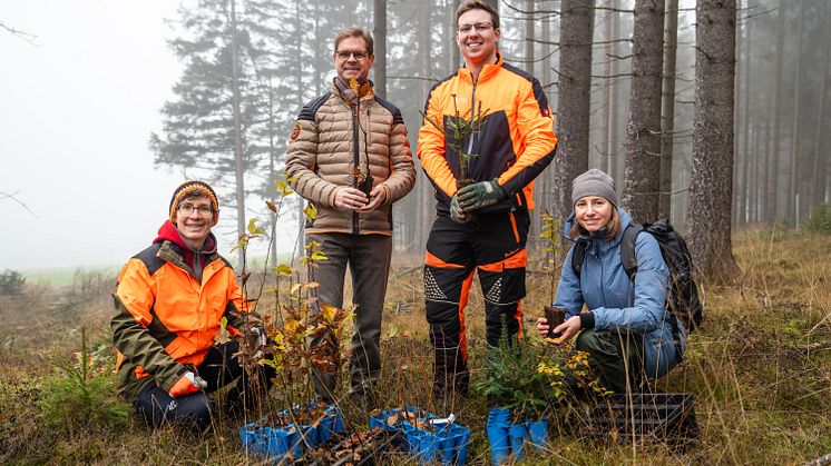 In Kirchenlamitz entsteht als Ausgleich für Netzbau ein klimastabiler Zukunftswald. Von links: Stephanie Huber (WBD Hochfranken), Harald Wolz (Bayernwerk Netz), Julian Brandner (Forstservice Brandner) und Lisa Ott (BKLS).