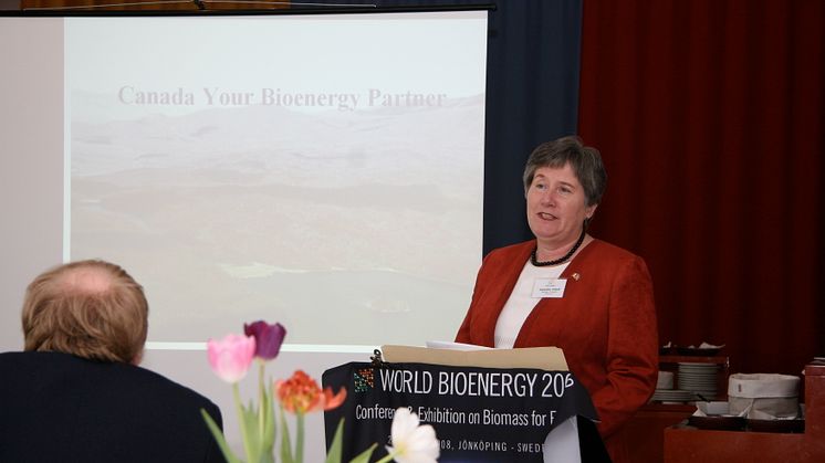 Över 60 diplomater från 29 länder på tebjudning om World Bioenergy 2008