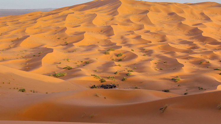 Merzouga ©Jürgen Reichenpfader.jpg