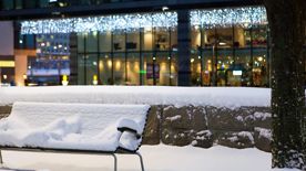 Clarion Sign bjuder in till årets finaste julmingel