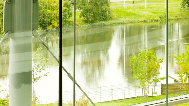 Universitetsparken, Umeå universitet