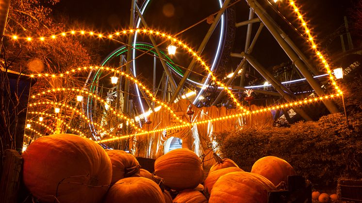 Halloween foto Stefan Karlberg  3