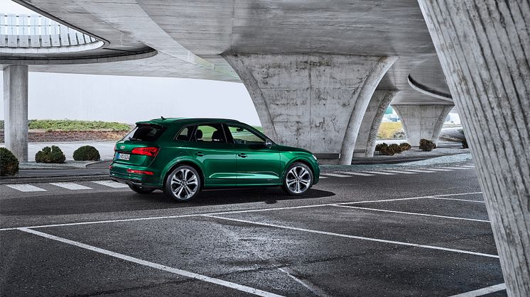 Audi SQ5 TDI (Azorergrøn)