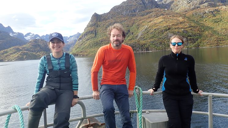 Fra venstre: Kathy Dunlop (HI), Nigel Brian Keeley (HI) og Ragnhild Pettersen (Akvaplan-niva) på AQUAeD feltarbeid i Lofoten (Foto: HI).